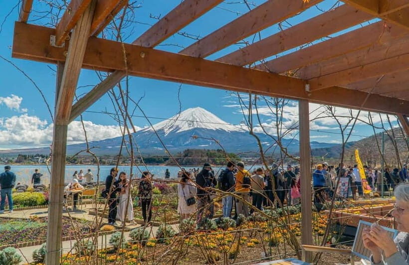 From Tokyo: Mount Fuji Private Tour with a Driver/Guide - Stop 4: Lake Kawaguchi and the View-Focused Middle of the Day