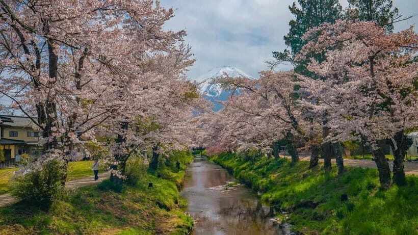 From Tokyo: Mount Fuji Private Tour with a Driver/Guide - Price and Value: What $451 per Group Really Buys