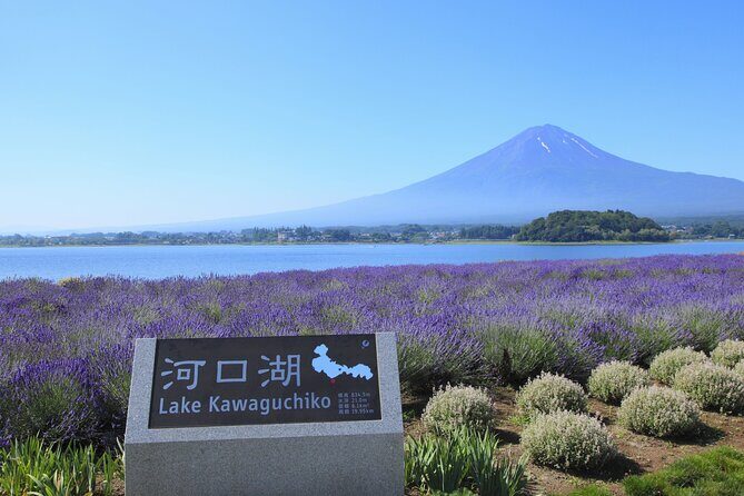 From Tokyo: Mount Fuji Sightseeing Full Day Trip - Stop 1: Saiko Iyashi-no-Sato Nenba by Lake Saiko