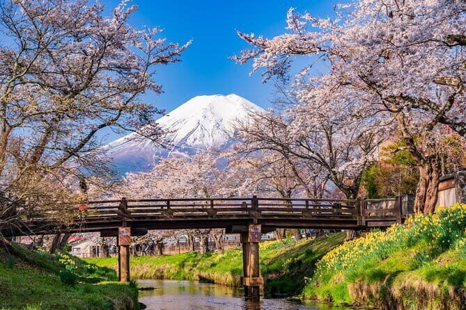 From Tokyo: Mount Fuji Sightseeing One Day Trip - Price and logistics: what you’re buying for $58.90