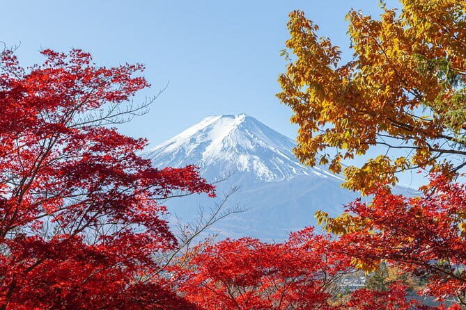 From Tokyo: Mount Fuji Sightseeing One Day Trip - Leaving Tokyo behind: the coach ride that buys you time