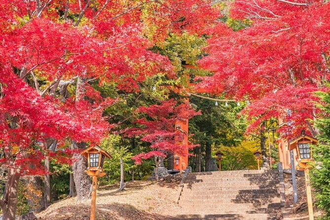 From Tokyo: Mount Fuji Sightseeing One Day Trip - Arakura Fuji Sengen Shrine: short, meaningful, and practical