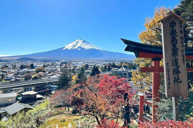 From Tokyo: Mount Fuji Sightseeing One Day Trip - Oishi Park: flowers, lake views, and a longer stroll