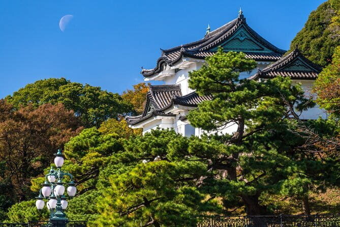 From Tokyo: Mount Fuji Sightseeing One Day Trip - How guides make (or break) the day