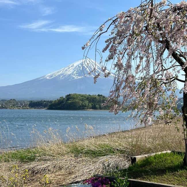 From Tokyo: Mt Fuji Private Day Tour In Luxury Land Cruiser - Key things I found especially worth it