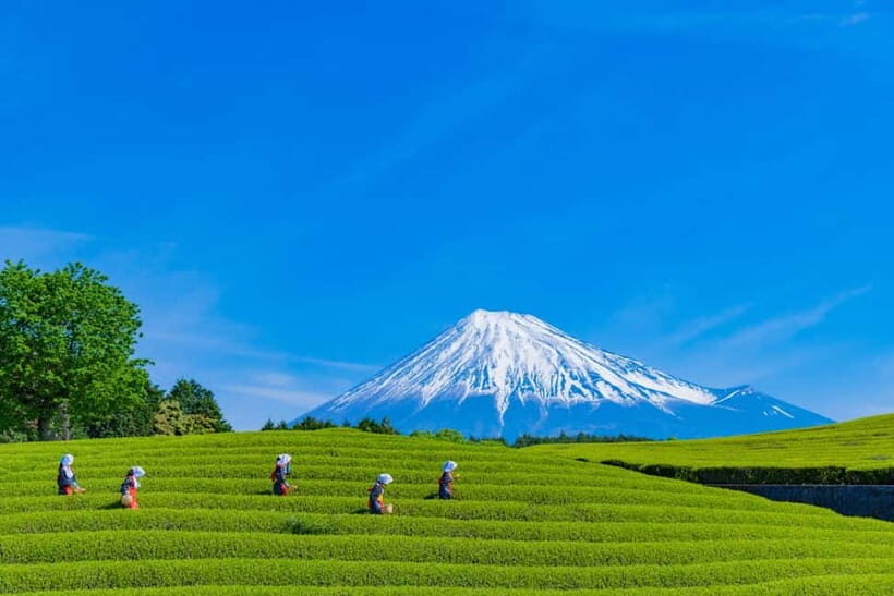 From Tokyo: Must-Visit Mount Fuji Highlight Full-Day Tour - Shimoyoshida Honcho Street and Lawson Fujikawaguchiko: Fuji Breaks Between Stops