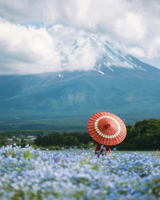 From Tokyo: Must-Visit Mount Fuji Highlight Full-Day Tour - Mt Fuji World Heritage Centre and Lake Yamanaka: Broader Views and Local Context