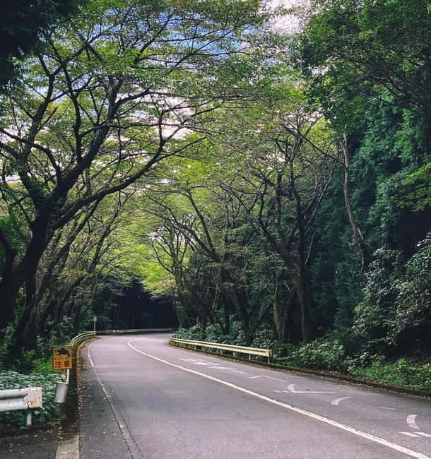 From Tokyo: Private JDM/Sports Car Tour to Mt Fuji & Hakone - Hakone Turnpike: Where the Car Thrill Actually Shows Up