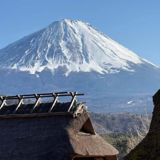 From Tokyo Private Mount Fuji & Hakone Day Trip With Pick Up - Private Mount Fuji & Hakone: what you’re really buying