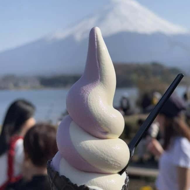 From Tokyo Private Mount Fuji & Hakone Day Trip With Pick Up - Lake Kawaguchiko: why people chase reflections