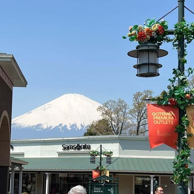 From Tokyo Private Mount Fuji & Hakone Day Trip With Pick Up - Oishi Park: flower season meets Fuji views
