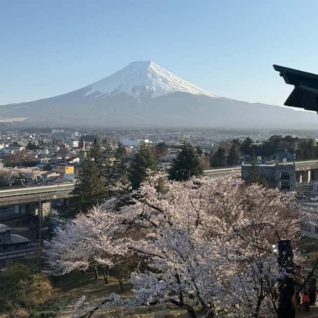 From Tokyo Private Mount Fuji & Hakone Day Trip With Pick Up - Hakone Shrine and the torii in the lake