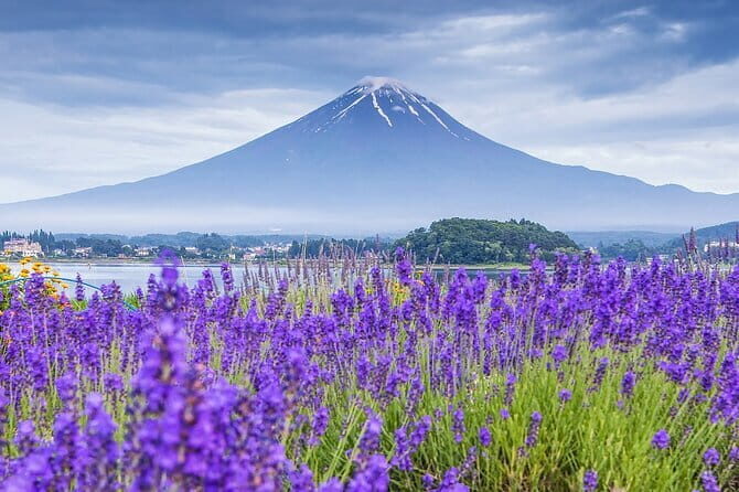 From Tokyo: Top 5 Scenic Spots of Mount Fuji Full-Day Tour - Pricing and what you actually get for $56.14