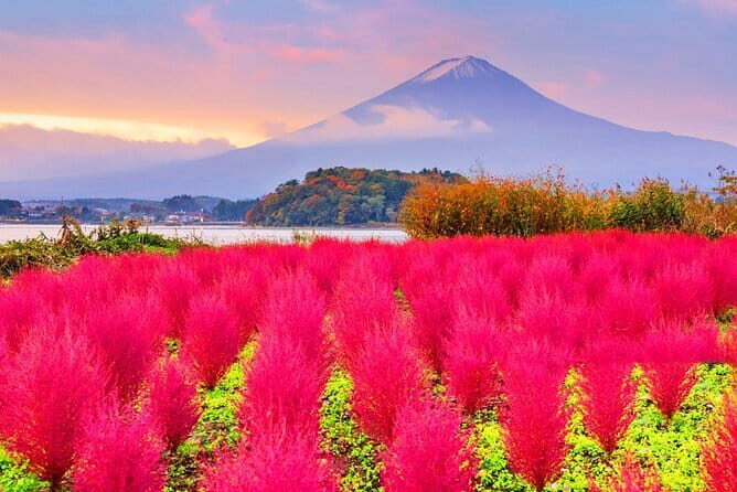 From Tokyo: Top 5 Scenic Spots of Mount Fuji Full-Day Tour - The ride from Tokyo: where you start, and how the day moves