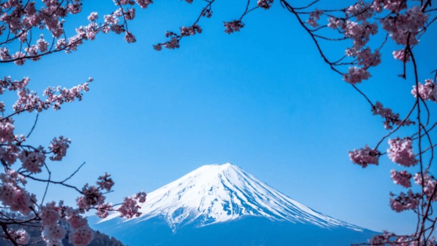 From Tokyo:Mount Fuji Private Customizable Tour With English - Key highlights that make this Mt. Fuji day feel worth it
