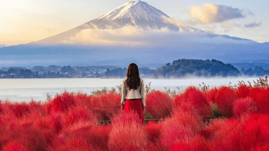 From Tokyo:Mount Fuji Private Customizable Tour With English - Private car from Tokyo: fewer delays, more control