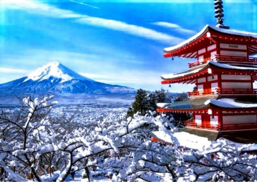 From Tokyo:Mount Fuji Private Customizable Tour With English - Oshino Hakkai: calm ponds and a classic stop near Fuji