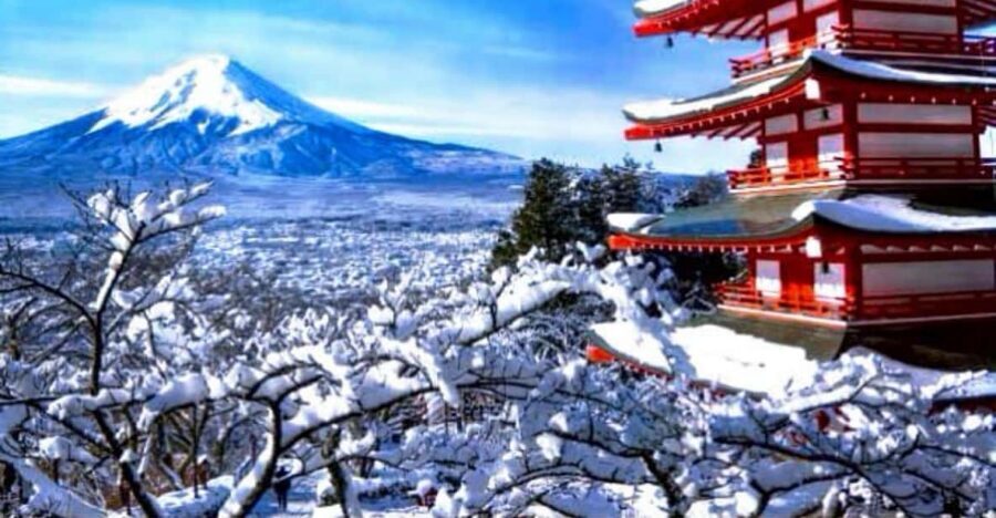 From Tokyo:Mount Fuji Private Customizable Tour With English - Optional culture and villages: Saiko Iyashi-no-Sato Nenba