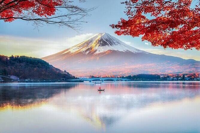 Full Day Private Tour of Mt Fuji - Your driver matters more than you think: Ali and the flexible flow