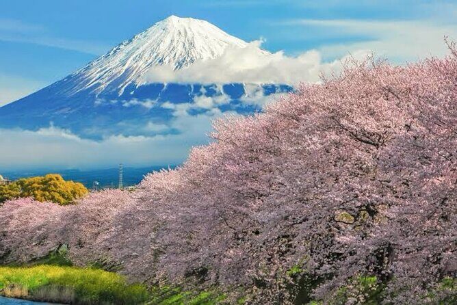 Full Day Private Tour of Mt Fuji - Mt. Fuji 5th Station and the Yoshida trail to 7th: what you’re really signing up for