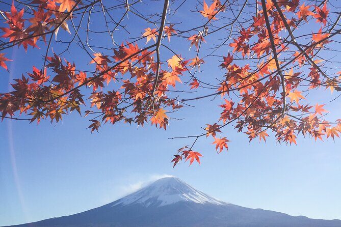 Full Day Private Tour to Mt Fuji by Luxury Vehicle - Luxury van pickup: skipping the crowded train day