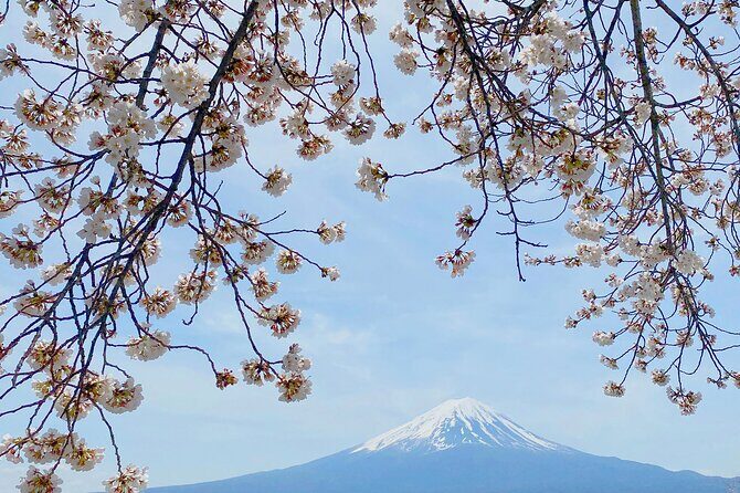 Full Day Private Tour to Mt Fuji by Luxury Vehicle - Houtou Fudou: a food stop that matters because lunch isn’t included