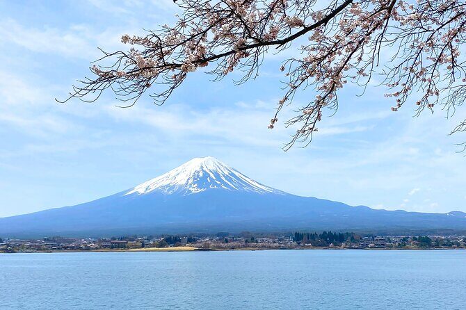 Full Day Private Tour to Mt Fuji by Luxury Vehicle - Saiko Iyashi no Sato Nemba: traditional thatched houses by Lake Saiko