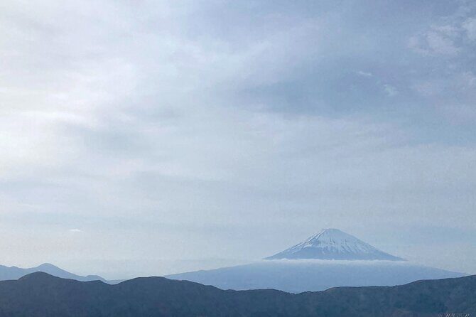 Full Day Private Tour to Mt Fuji by Luxury Vehicle - Kitaguchi Hongu Fuji Sengen Jinja: cedar forest and pilgrimage history