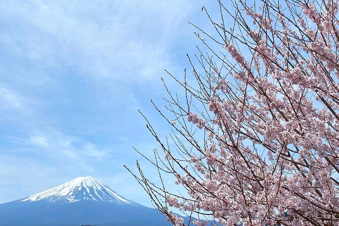 Full Day Private Tour to Mt Fuji by Luxury Vehicle - Price and value: $637.30 for up to 6 people