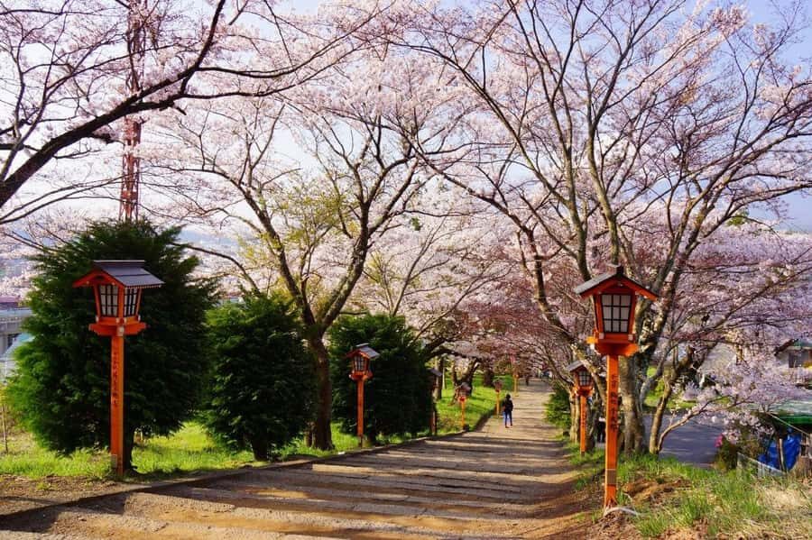 Full-Day Tour to the Picturesque Spots of Mount Fuji - Oshino Hakkai: UNESCO Springs You Can Actually Taste