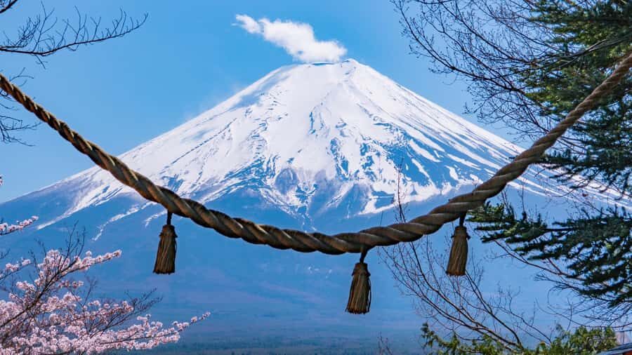 Full-Day Tour to the Picturesque Spots of Mount Fuji - Price and Value: Why $49 Can Make Sense for Fuji