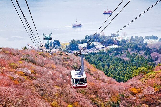 Hakone and Mt Fuji Private Custom Tour with English Guide - Saiko Iyashi no Sato Nenba: Traditional Village by the Water