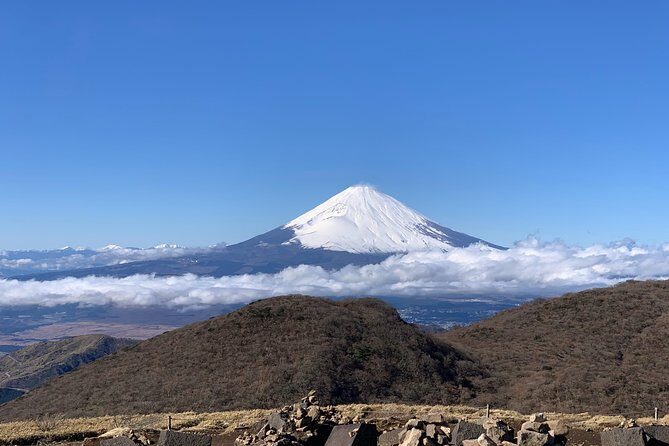 Hakone Private One Day Tour From Tokyo: Mt Fuji, Lake Ashi, Hakone National Park - Private Hakone planning without the train puzzle