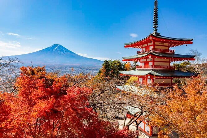 Japan's Best Mount Fuji Tour - Shinjuku start: where the day really begins