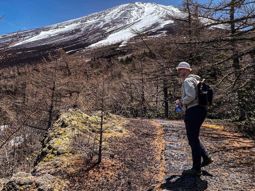 Kawaguchiko: Hidden Mt. Fuji Driving Tour with a Local Guide - Aokigahara Forest: Guided Nature Walk, Not Just a Stop Sign