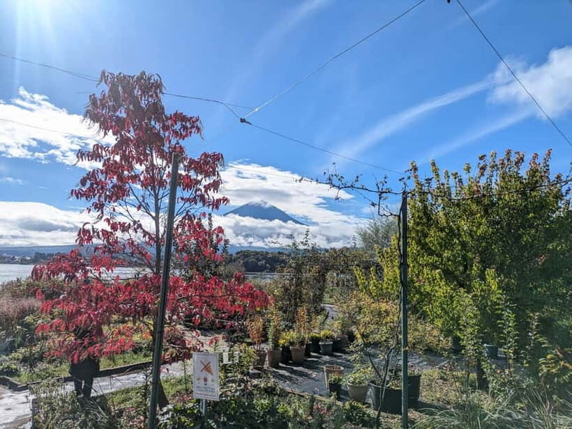 Lake Kawaguchi : Half day Private Tour with local guide - Lake Motosu and the 1,000-yen Fuji vibe (how it may fit your day)