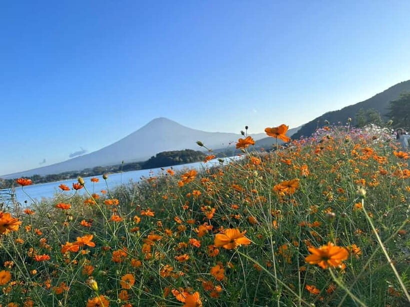 Lake Kawaguchi : Half day Private Tour with local guide - Narusawa Ice Cave: a quick stop for a different kind of Fuji area
