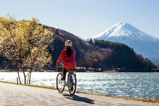 Majestic Mount Fuji: Exclusive Private Day Tour - Mt. Fuji 5th Station: Close Views, Real Altitude, and Shuttle Reality