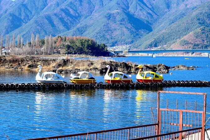 Majestic Mount Fuji: Exclusive Private Day Tour - Oshino Hakkai: Holy Spring Energy and Snack-Time Strolling