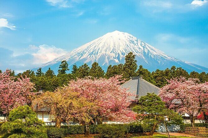 Mount Fuji 5th Station, Arakurayama, Oshino Hakkai and Hot Spring - The Fuji reality check: weather and visibility