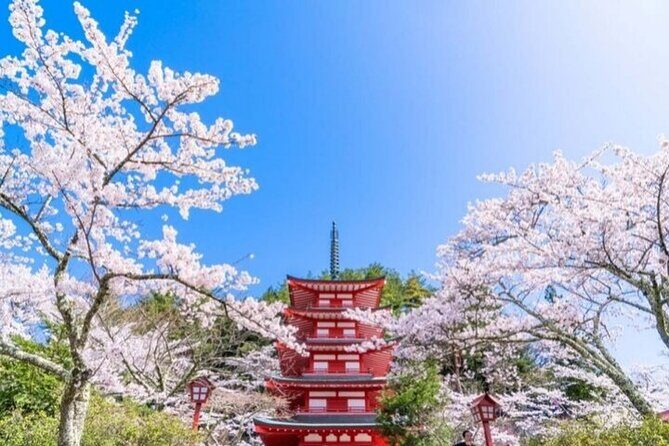 Mount Fuji 5th Station, Arakurayama, Oshino Hakkai and Hot Spring - Mt. Fuji 5th Station vs Arakurayama Sengen Park: pick your season