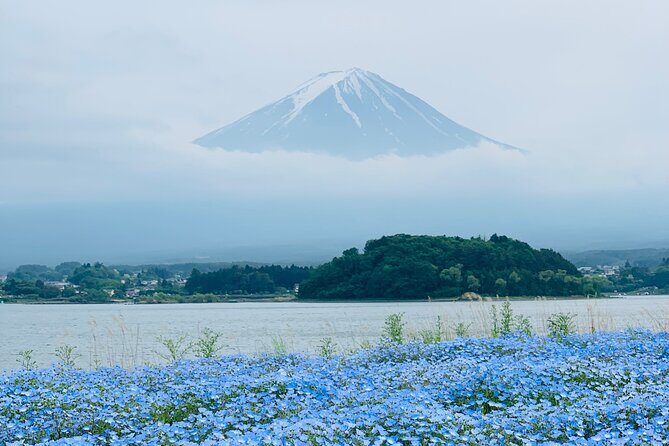 Mount Fuji Adventures Private English Tour With Hotel Pick Up - Oshino Hakkai and Shrine Town Stops: Ponds, Fish, and Old-Street Snacks