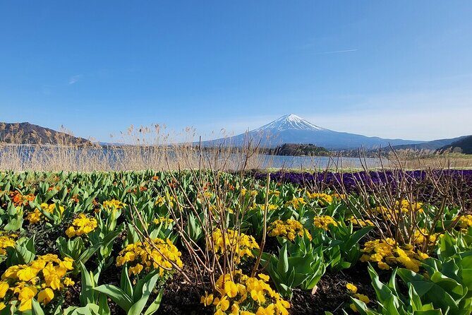 Mount Fuji Adventures Private English Tour With Hotel Pick Up - How Guides Make the Day Feel Tailor-Made