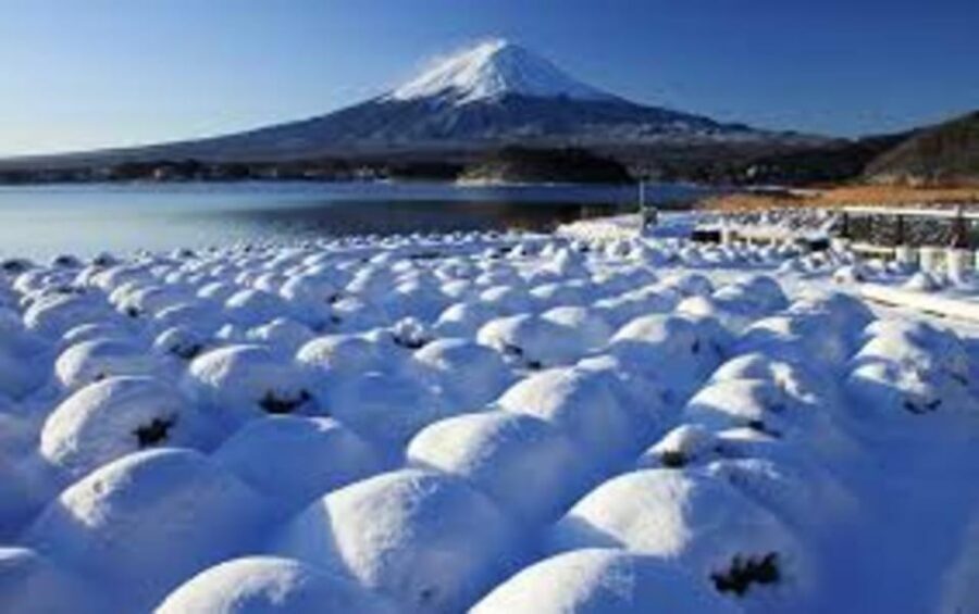 Mount Fuji and Hakone Day tour with English speaking Drivers - Key things to know before you go