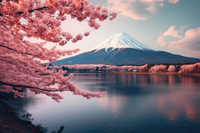 Mount fuji and Hakone Full day private sightseeing tour - Timing and weather reality for Mt. Fuji