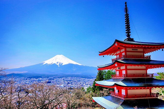 Mount fuji and Hakone Full day private sightseeing tour - Stop 3: Saiko Iyashi no Sato Nenba for a throwback village feel