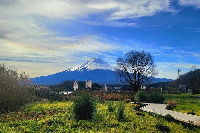 Mount fuji and Hakone Full day private sightseeing tour - How the day flows: a route that mixes culture, nature, and volcano heat