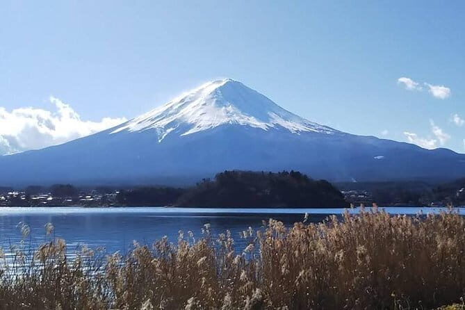 Mount Fuji and Hakone Private Day Trip by Car/Van - in English - Mount Fuji 5th Station: The Optional Bucket-List Stop