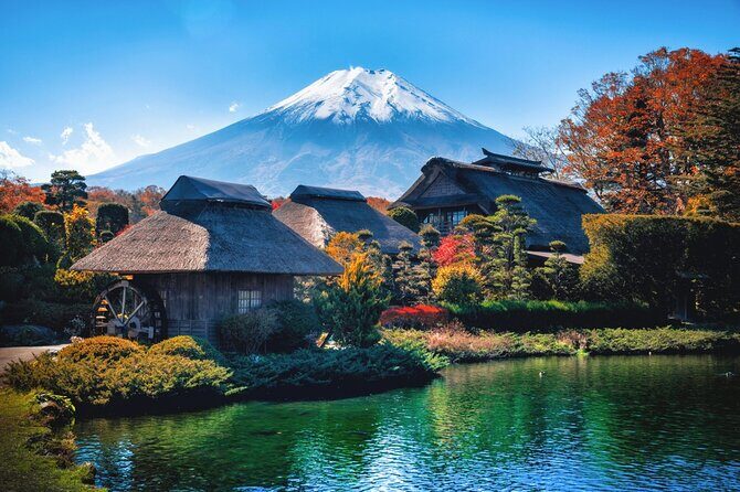 Mount Fuji and Hakone Private day trip from Tokyo - Private pickup from Tokyo: less stress, more sightseeing hours