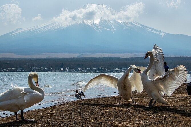 Mount Fuji and Hakone Private day trip from Tokyo - Stop 2: Arakura Fuji Sengen-jinja Shrine and the Chureito Pagoda shot